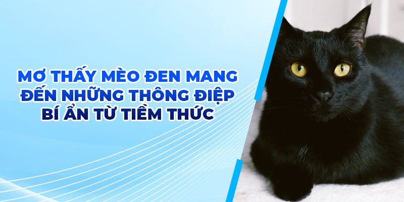 ​​Mơ thấy mèo đen mang đến những thông điệp bí ẩn từ tiềm thức